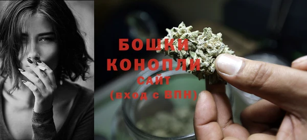 прущие крисы Каменногорск