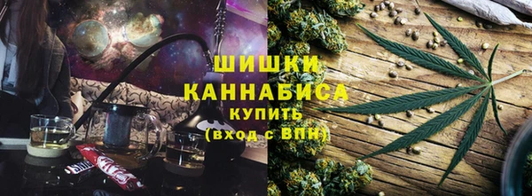 PSILOCYBIN Иннополис