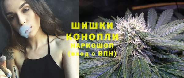 PSILOCYBIN Иннополис