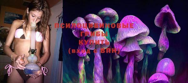 прущие крисы Каменногорск