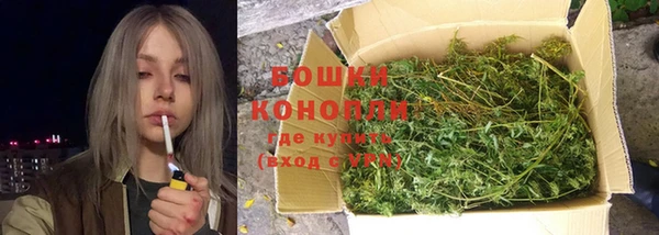 прущая мука Инта