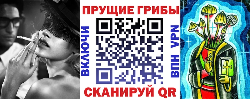 Купить где  Дудинка  Галлюциногенные грибы Psilocybine cubensis 